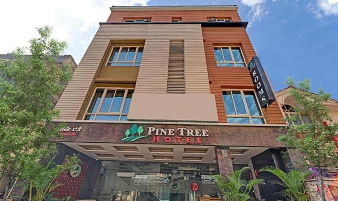 צ'נאי Pine Tree Boutique Hotel מראה חיצוני תמונה