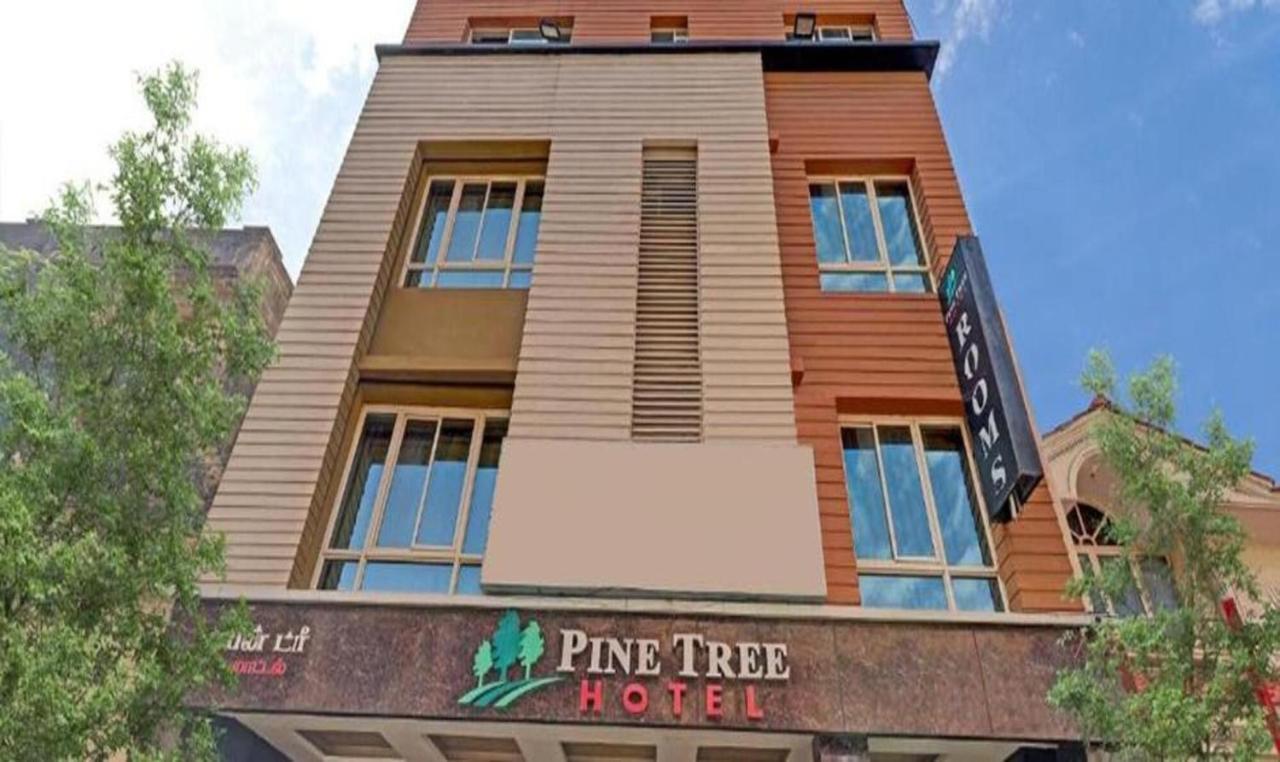 צ'נאי Pine Tree Boutique Hotel מראה חיצוני תמונה